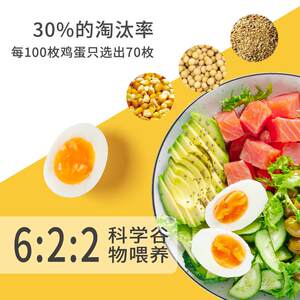 【可生食】晋龙可生食30枚新鲜鸡蛋