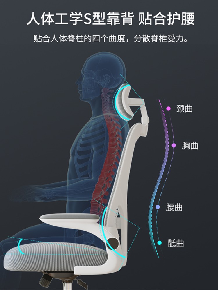 电脑椅家用舒适久坐靠背宿舍办公座椅人体工学椅电竞椅男学习椅子 - 图1