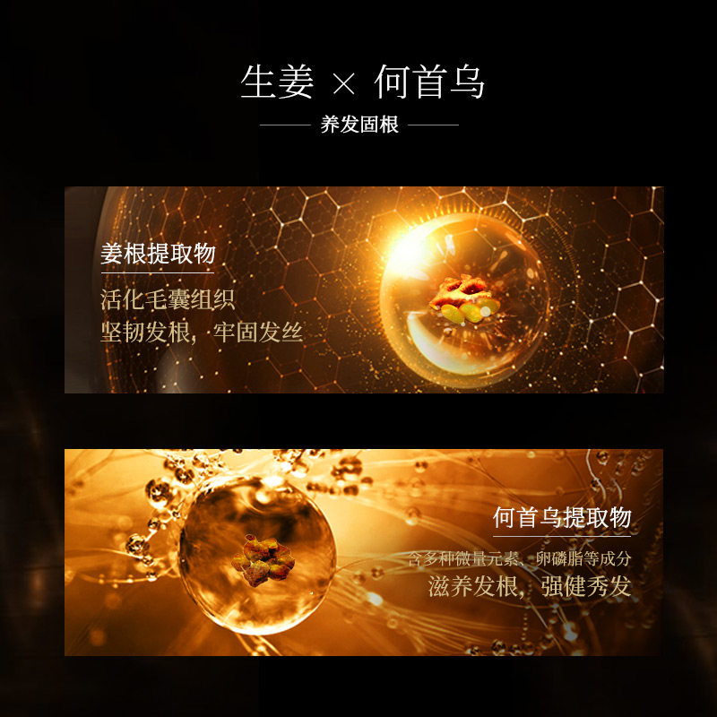 六神生姜健发蓬松控油洗发露护发素 六神洗发水