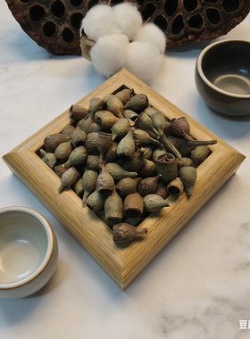 【僵尸果】尤加利果钟情果豆荚娃娃果壳种子风铃DIY天然装饰材料
