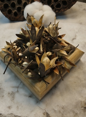 【香椿花】香椿花 豆荚娃娃果壳种子风铃DIY天然装饰材料