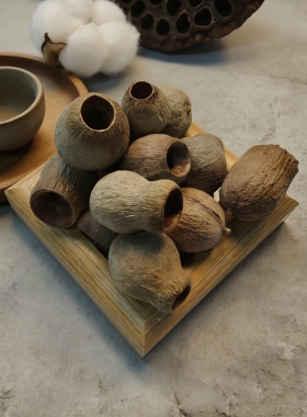 【咕噜果】 招财果 豆荚娃娃果壳种子风铃DIY天然装饰材料