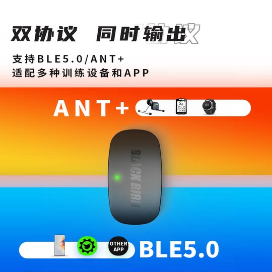黑鸟Blackbird 双模心率胸带支持蓝牙ANT+户外骑行运动健身跑步