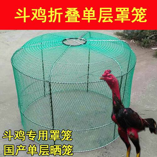 斗鸡跑笼斗鸡罩笼斗鸡折叠跑笼斗鸡训练跑笼斗鸡训练用 - 图0