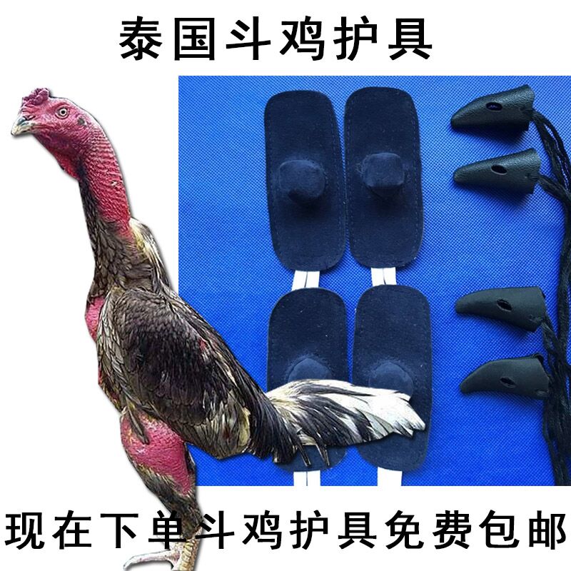 斗鸡 斗鸡用品 斗鸡护具 泰国斗鸡护具 斗鸡训练护具斗鸡训练用品 - 图0