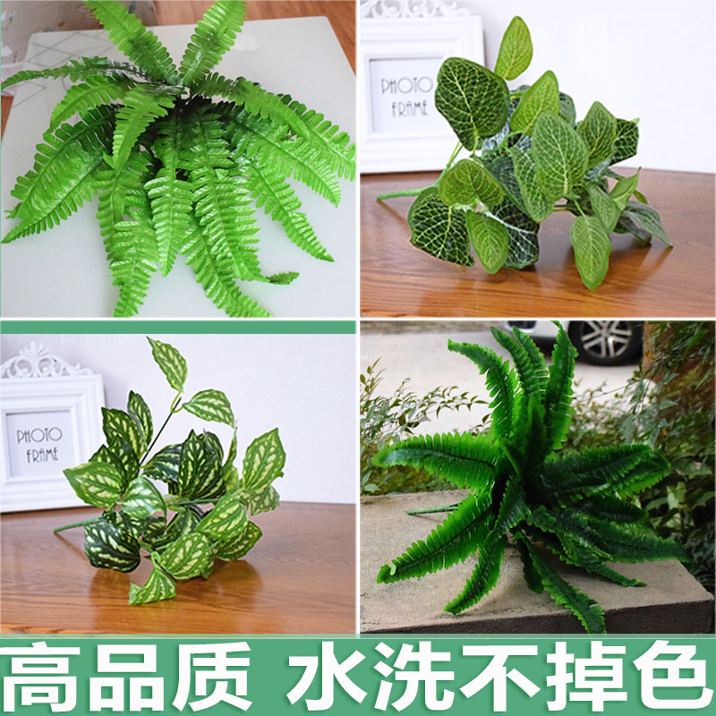 仿真蕨类植物背景墙假花仿真草绿植假草装饰花草绿草大波斯草叶-图0