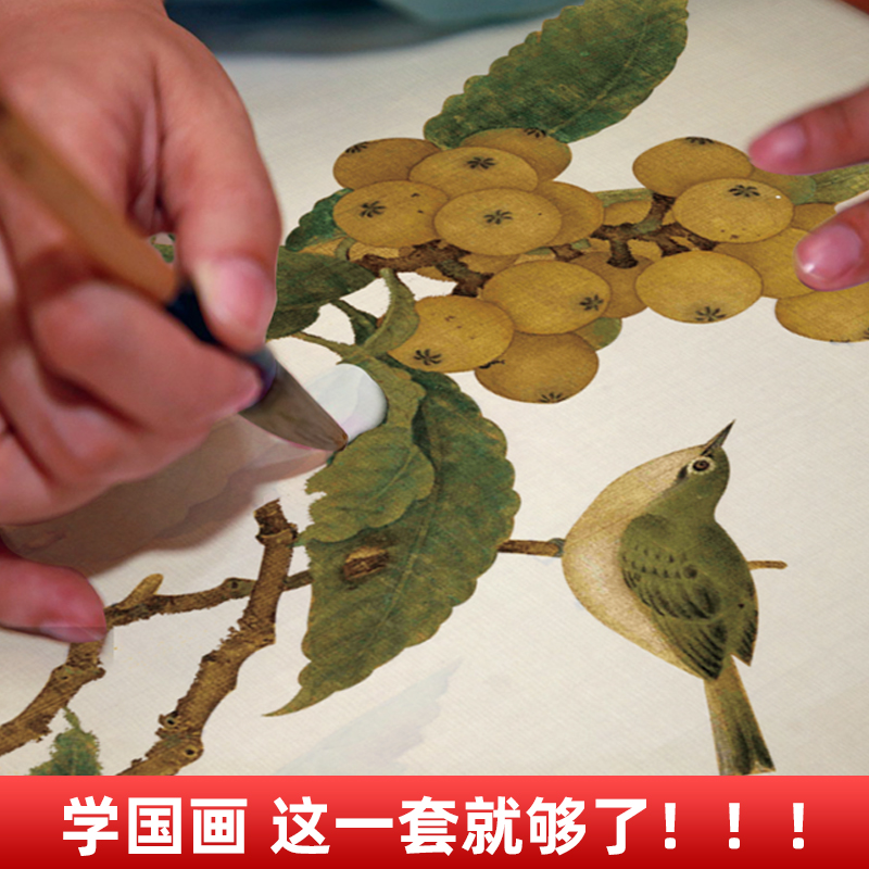 中国画白描描摹本 工笔画白描底稿临摹画册 千里江山 宋清花鸟山水花卉虫草线稿描摹练习册 国画初学者入门套装 工笔画白描线稿本 - 图2