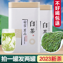 Authentic White Tea Anji Alpine Special Class 2023 New Tea Gift Box Fashion Rare Rations Green Tea Rain Front Bulk Tea