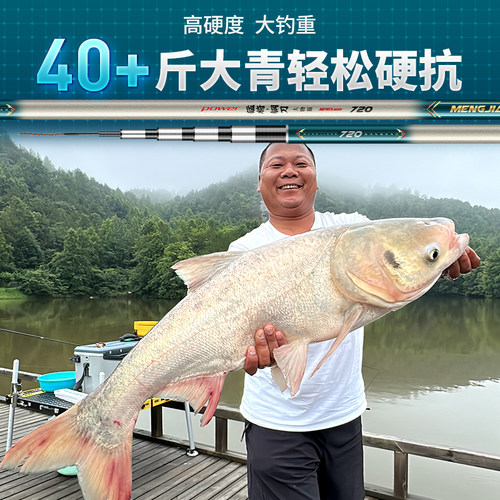 猛将钢刀超轻6H19调小锥度大物竿轻量鲢鳙大物竿鲤鱼竿台钓竿手杆 - 图1