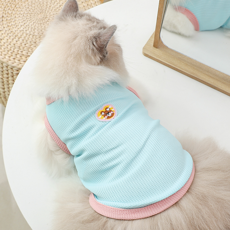 可爱小熊贴标背心猫咪衣服夏季薄款小猫布偶春季蓝猫宠物春天厚款-图0