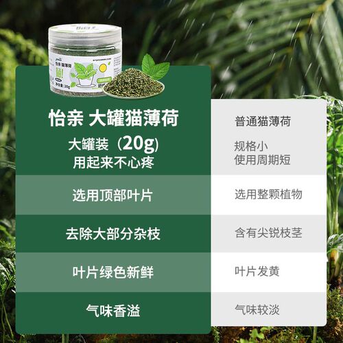 怡亲猫薄荷球猫咪零食猫饼干可食用去毛球猫草用品幼猫化毛猫零食 - 图0