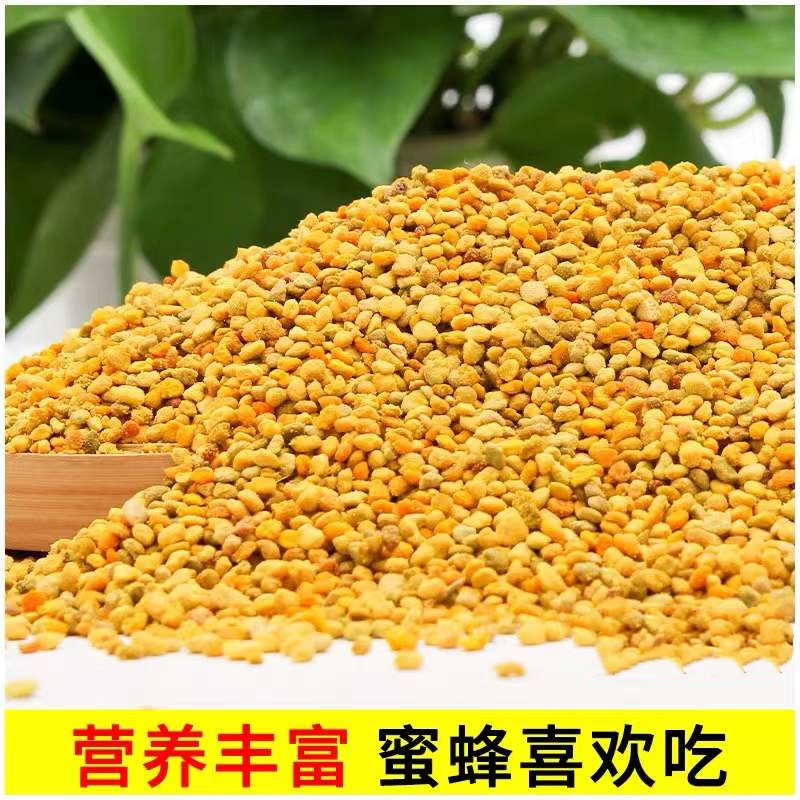 油菜花粉纯天然正品喂蜂养蜂包邮中锋专用花粉杂粉颗粒状蜜蜂饲料 - 图0