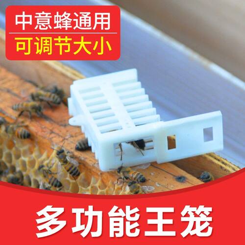 养蜂工具多功能王笼中蜂中意蜂蜜蜂囚王笼防跑片防逃器蜂箱配包邮 - 图0