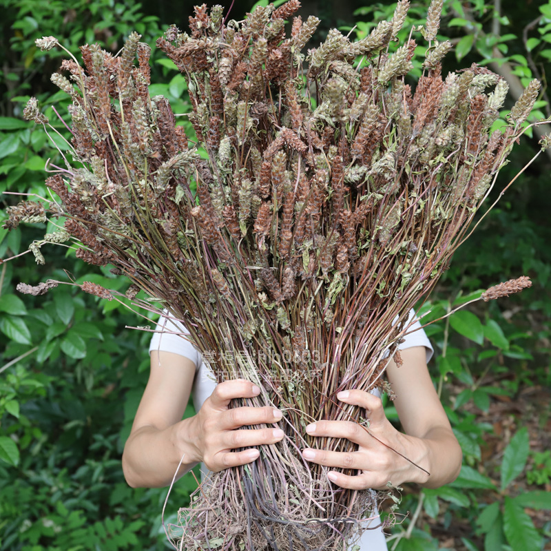 野生夏枯草500g农家无硫全颗白毛夏谷姑菇农家新晒夏菇草蒲公英-图0