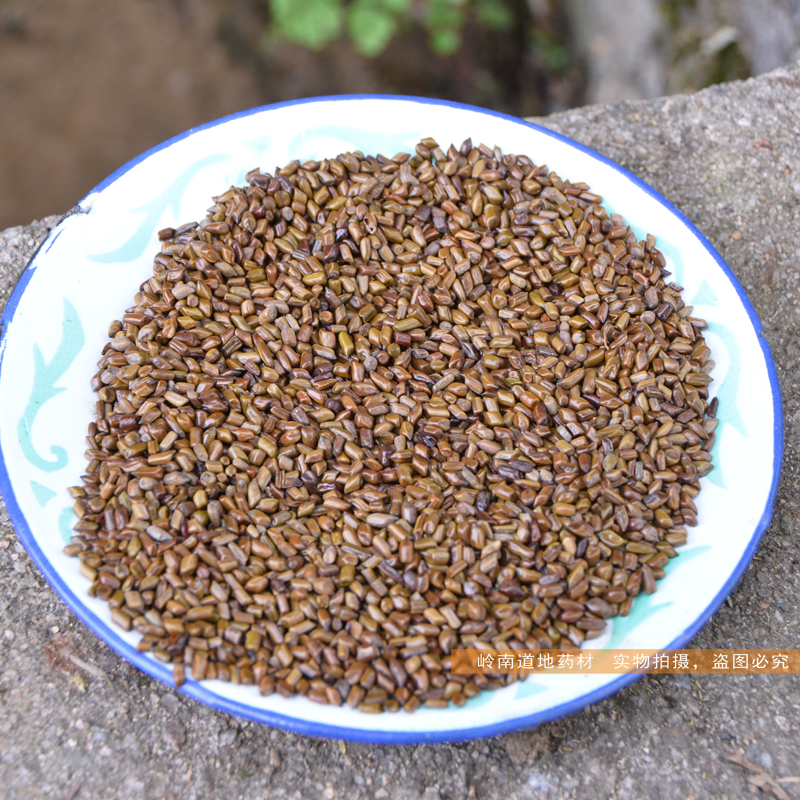 决明子野生无硫药材500g草明子农家干货草药菊花枸杞茶煮泡水正品