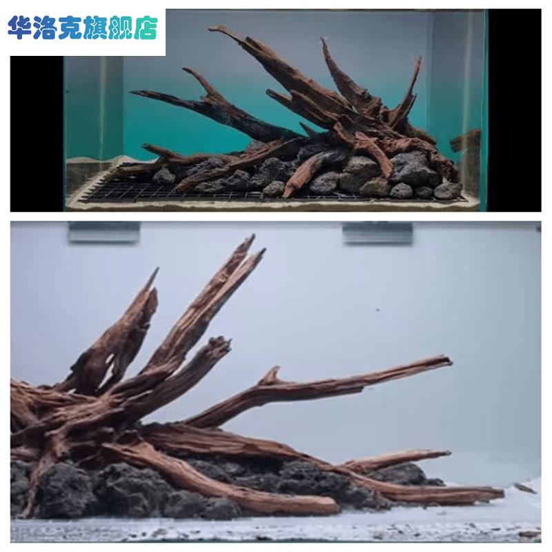 沉木枝条骨架南美缸造景爬宠装饰杜鹃根鹿角枝枯树根条随机发货 - 图0