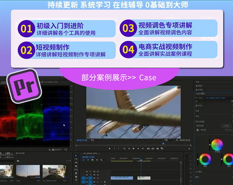 全套PR教程PS零基础AU短视频AE剪辑AI平面设计LR达芬奇C4D调色MG - 图0