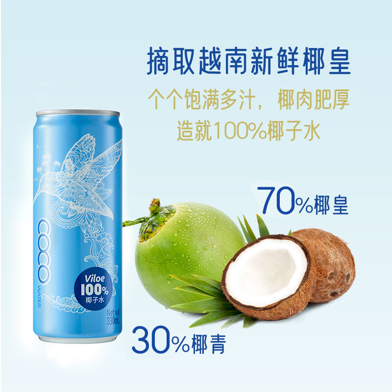 界界乐*Viloe唯乐蜜语越南原装进口椰子水果汁饮料330ml*6罐-图0