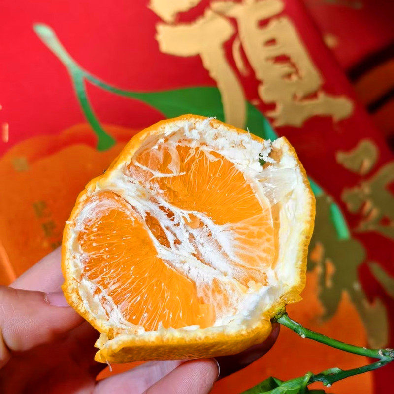 顶橘春见粑粑柑礼盒装6.5斤当季新鲜水果橘子蜜橘桔子味甜嫩多汁,淘宝优惠券,粉丝福利购,淘宝优惠卷