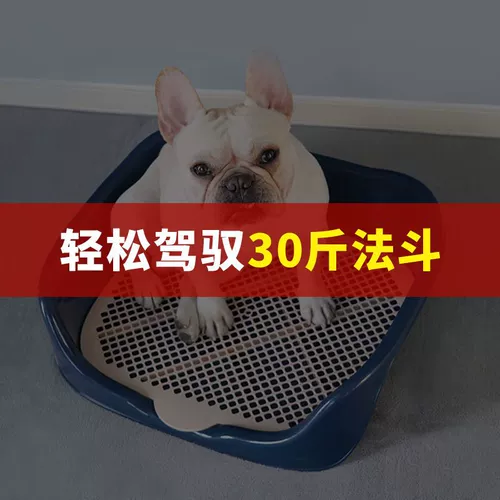 Собачья туалетная туалета с большим масштабным маленьким средним размером собачьи специфические для собачьего песчаного горшка мочи из мочи бассейна собака собачья какашка домашние животные принадлежности