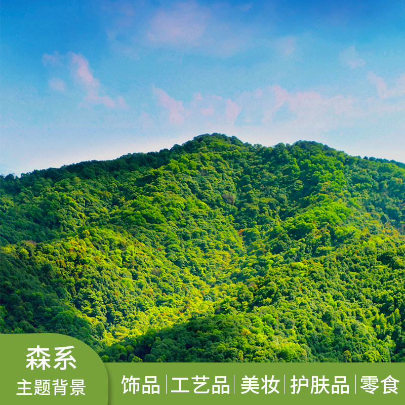 森系背景布喷绘创意森林梦幻油画布 摄影背景布摄影背景纸拍照背景拍摄道具 品迪数码专营店 淘优券