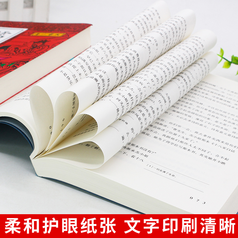 【九年级下必读名著】全6册简爱和儒林外史围城钱钟书格列佛游记契诃夫短篇小说我是猫夏目漱石原著正版初中生必读名著书籍-图2