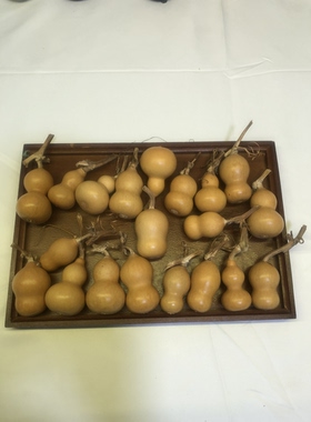 天然葫芦文玩小美国葫芦手捻手把件摆件