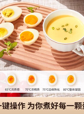 九阳家用迷你早餐机煮蛋器