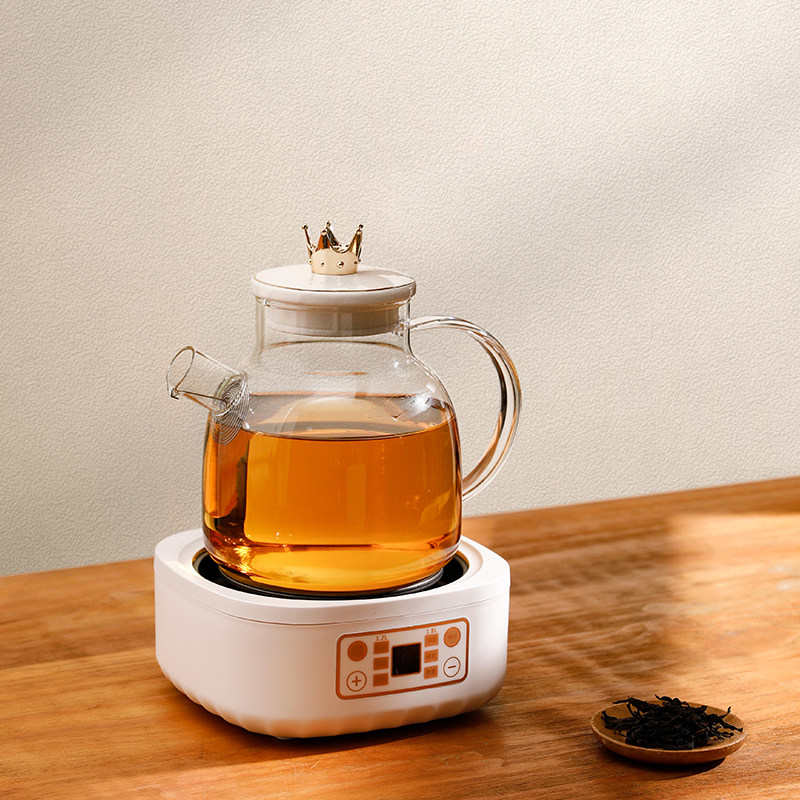 日式煮茶壶白茶煮茶器家用全烧水壶 sunchance电器茶壶