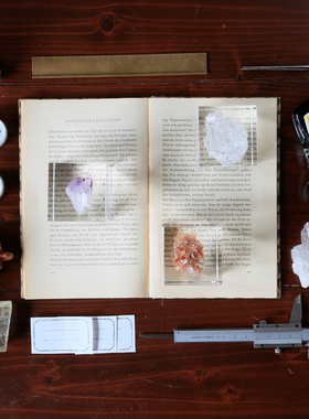 宙sola植物桌面摆件礼物