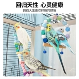 Игрушка, качели, радужная лестница, можно грызть, умеет карабкаться