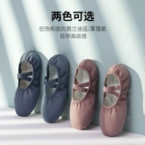 Танцевальная обувь женская мягкая дно кошачья кошачья профессиональная старшая учительница