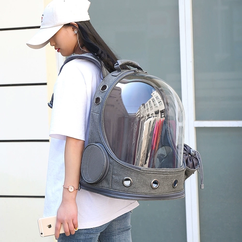 Сумка для выхода на улицу, портативный ранец, рюкзак, надевается на плечо