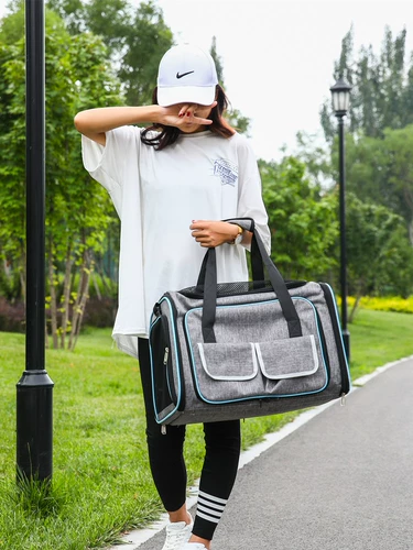 Сумка для кошки из портативной сумки рюкзак для домашних животных прозрачная кошачья книжная сумка для собачьей одежды для кошачьих продуктов увеличение пакета расширения