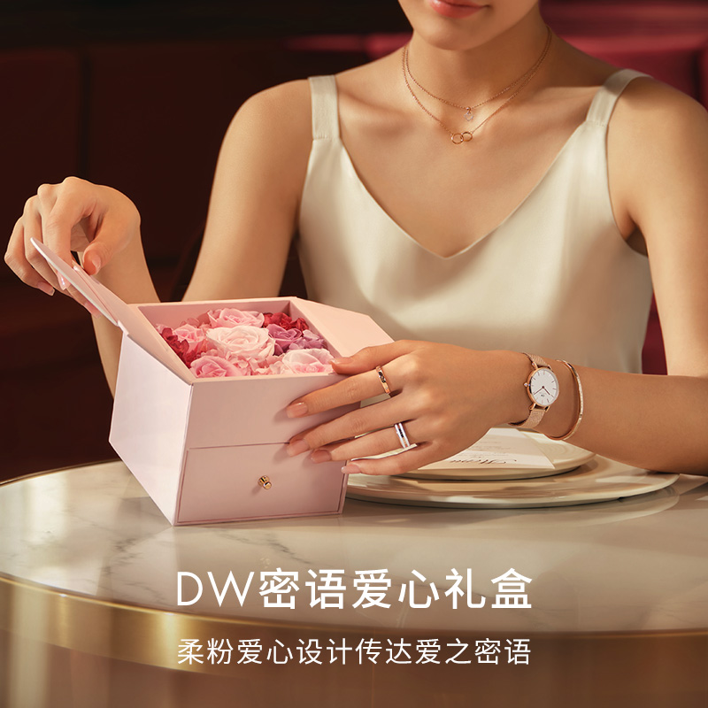 dw女petite系列优雅流金石英女表 danielwellington欧美腕表