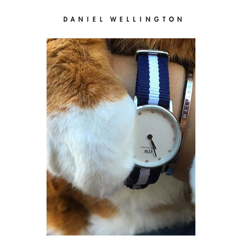 danielwellington旗舰店Danielwellington 丹尼尔惠灵顿dw手表女 34mm正品织纹满天星女表2