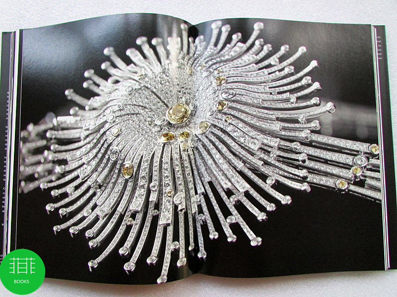 菲菲上海图书专营店Jewelry by Chanel  香奈儿的珠宝   97805005162873