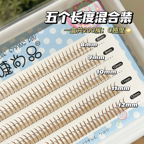 焦糖棕色A型组合装~虞书欣仙子毛朵毛假睫毛嫁接自然单簇美睫睫毛 - 图2