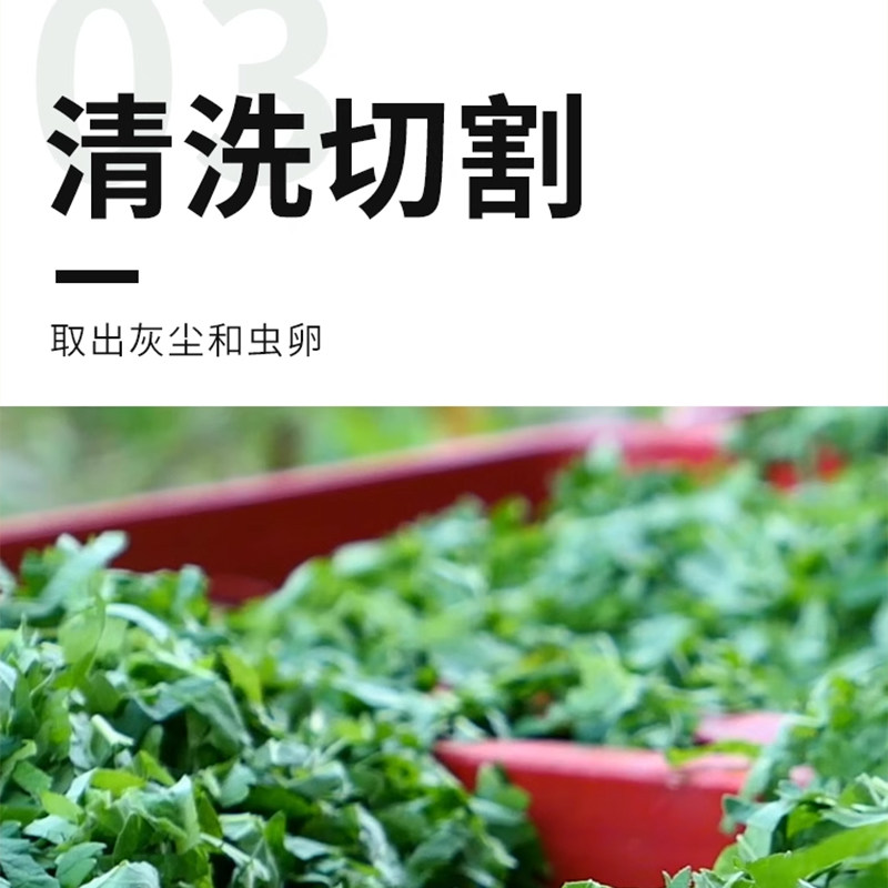 大菠萝宠物 猫咪旺农场木天蓼猫薄荷虫罂果果实 逗猫磨牙棒玩具,淘宝优惠券,粉丝福利购,淘宝优惠卷