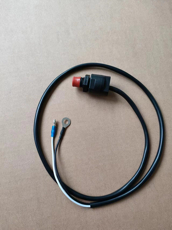 航凯亚岛派尼尔雅马哈海的百胜舰航汉邦船外机挂机 熄火开关+钥匙 - 图1