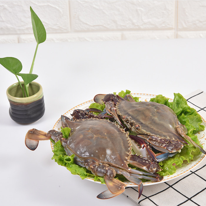 【保鲜不保活】丹东飞蟹梭子蟹大母螃蟹飞蟹满肉满黄冰鲜梭子蟹,淘宝优惠券,粉丝福利购,淘宝优惠卷