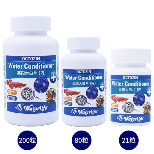 正品英国大白片水族箱鱼缸龙鱼罗汉观赏鱼肠炎内寄头洞凸眼外寄等 - 图2