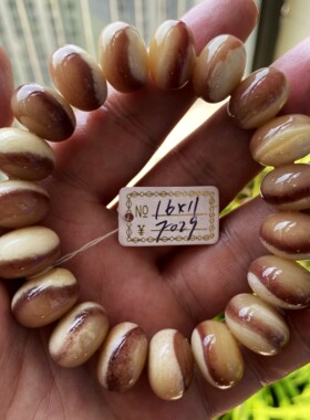 骨韵天阁未脱脂藏传药片骆驼骨