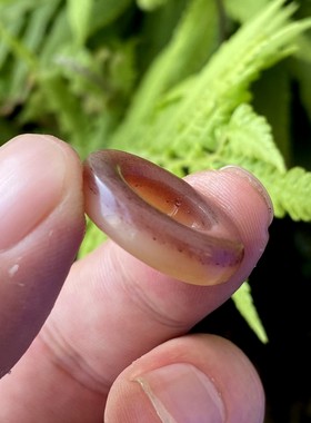 骨韵天阁天然血料骆驼骨跑环