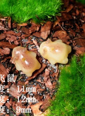 diy天然骆驼骨雕刻五眼六通散珠