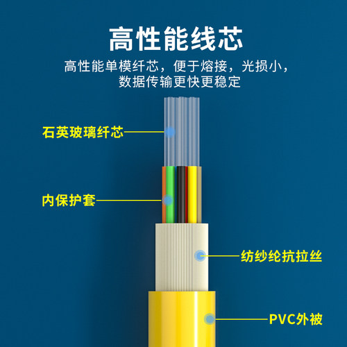 YOUYSI 12芯束状尾纤SC方头单模光纤跳线电信级可订做FC束状尾纤ST束状尾纤带状尾纤 - 图1