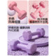 2kg rubber-coated women's dumbbell pair for home shaping