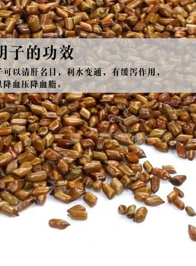 决明子热敷颈肩疏通经络抗疲劳