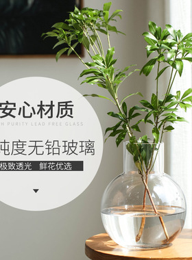 摆设透明大水茶几简约ins风花瓶