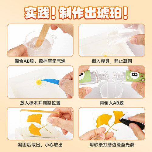 昆虫标本制作工具琥珀diy材料蝴蝶标本自制树脂胶手工做滴胶植物 - 图3